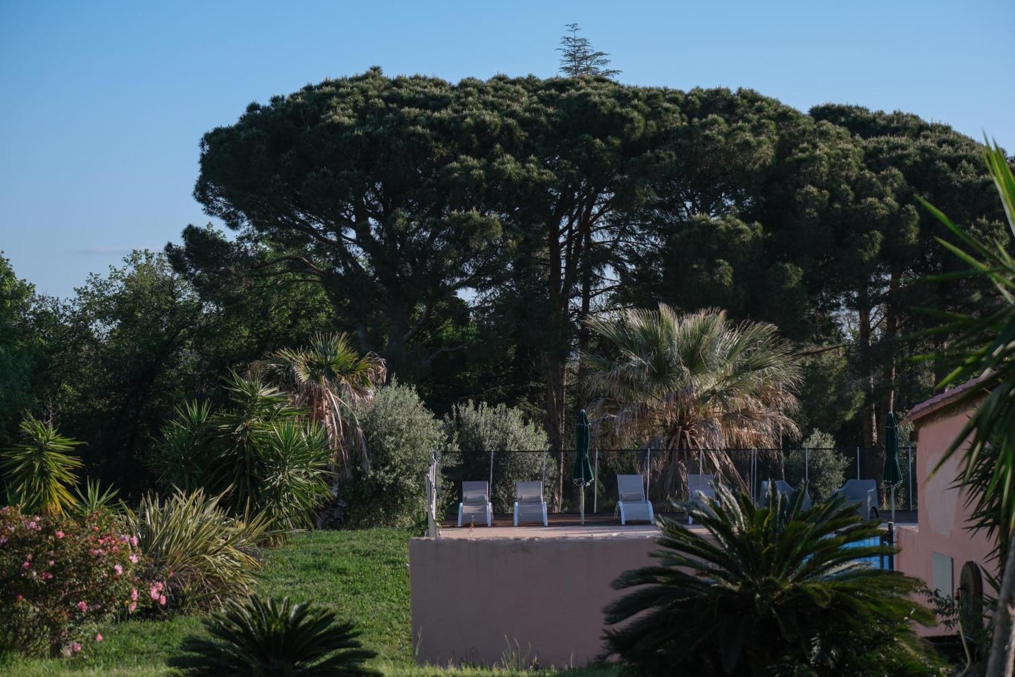 Hotel Mas Lamon Argelès-sur-Mer Exterior foto